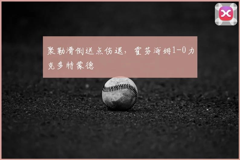 聚勒滑倒送点伤退，霍芬海姆1-0力克多特蒙德