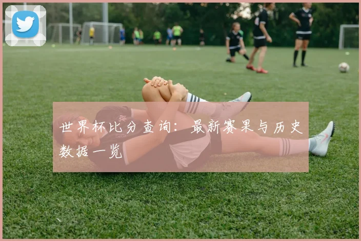 世界杯比分查询：最新赛果与历史数据一览